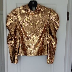 Sparkling Gold Sequin Top with Puff Sleeves